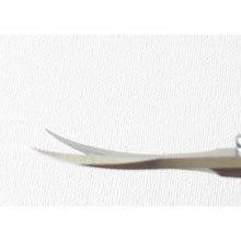 Load image into Gallery viewer, Applique Curved Blade Fine Tip Arm Wrestler Curved Scissors MN-AW165C