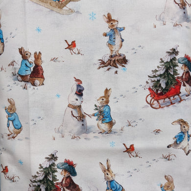 Peter Rabbit Fun In The Snow
