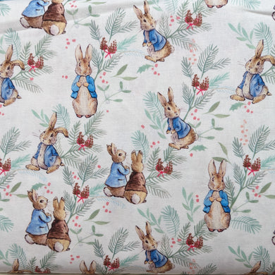 Peter Rabbit Christmas Ferns