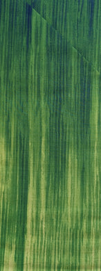 Radiant Gradients Ombre