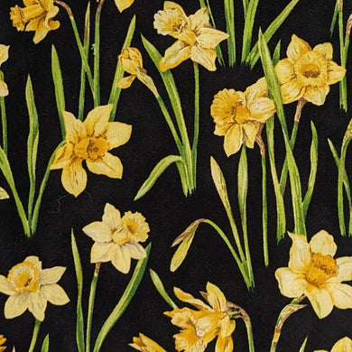 Daffodils