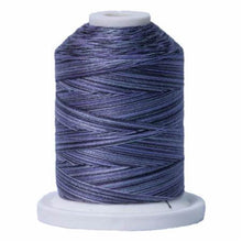 Load image into Gallery viewer, Signature Variegated Cotton Machine Quilting Thread sm018