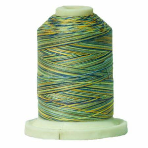 Signature Variegated Cotton Machine Quilting Thread sm018