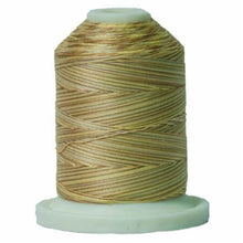 Load image into Gallery viewer, Signature Variegated Cotton Machine Quilting Thread sm018