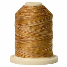 Load image into Gallery viewer, Signature Variegated Cotton Machine Quilting Thread sm018