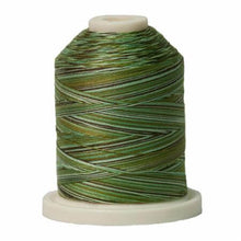 Load image into Gallery viewer, Signature Variegated Cotton Machine Quilting Thread