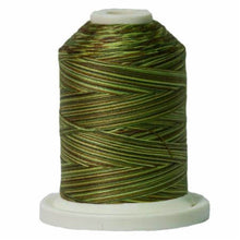 Load image into Gallery viewer, Signature Variegated Cotton Machine Quilting Thread sm018