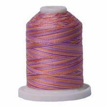 Load image into Gallery viewer, Signature Variegated Cotton Machine Quilting Thread sm018