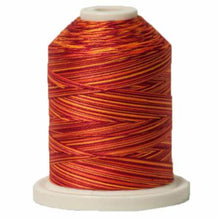 Load image into Gallery viewer, Signature Variegated Cotton Machine Quilting Thread sm018
