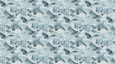 Soar Eagle Moody Blues